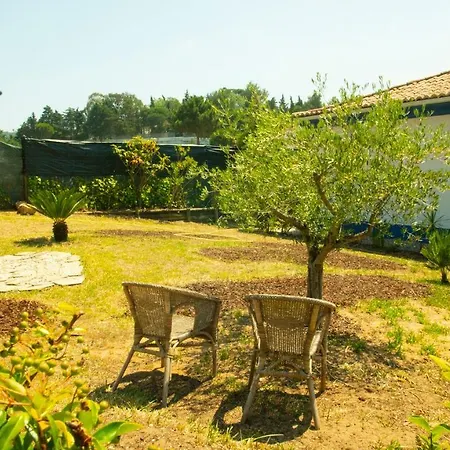 Casa Da Pequena Oliveira Casa vacanze