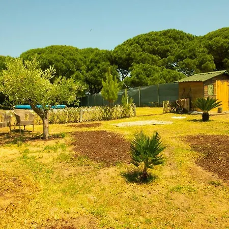 Casa Da Pequena Oliveira