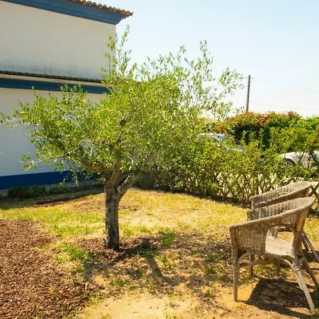 Casa Da Pequena Oliveira